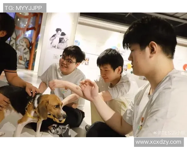 esports数据深入分析TES在DOTA2赛事中的运营策略与市场影响力 esports数据深入分析TES在DOTA2赛事中的运营策略与市场影响力